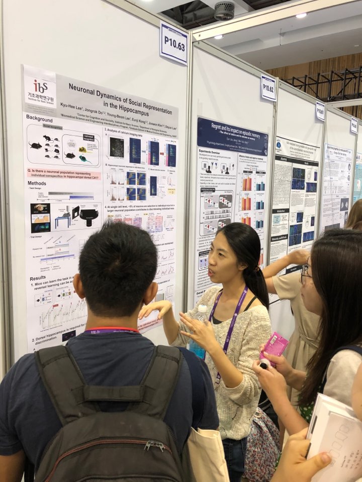IBRO 2019 Daegu