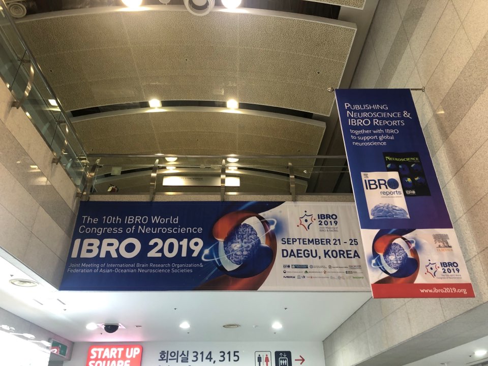 IBRO 2019 Daegu